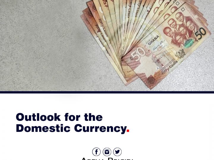 Outlook For Domestic Currency (1)